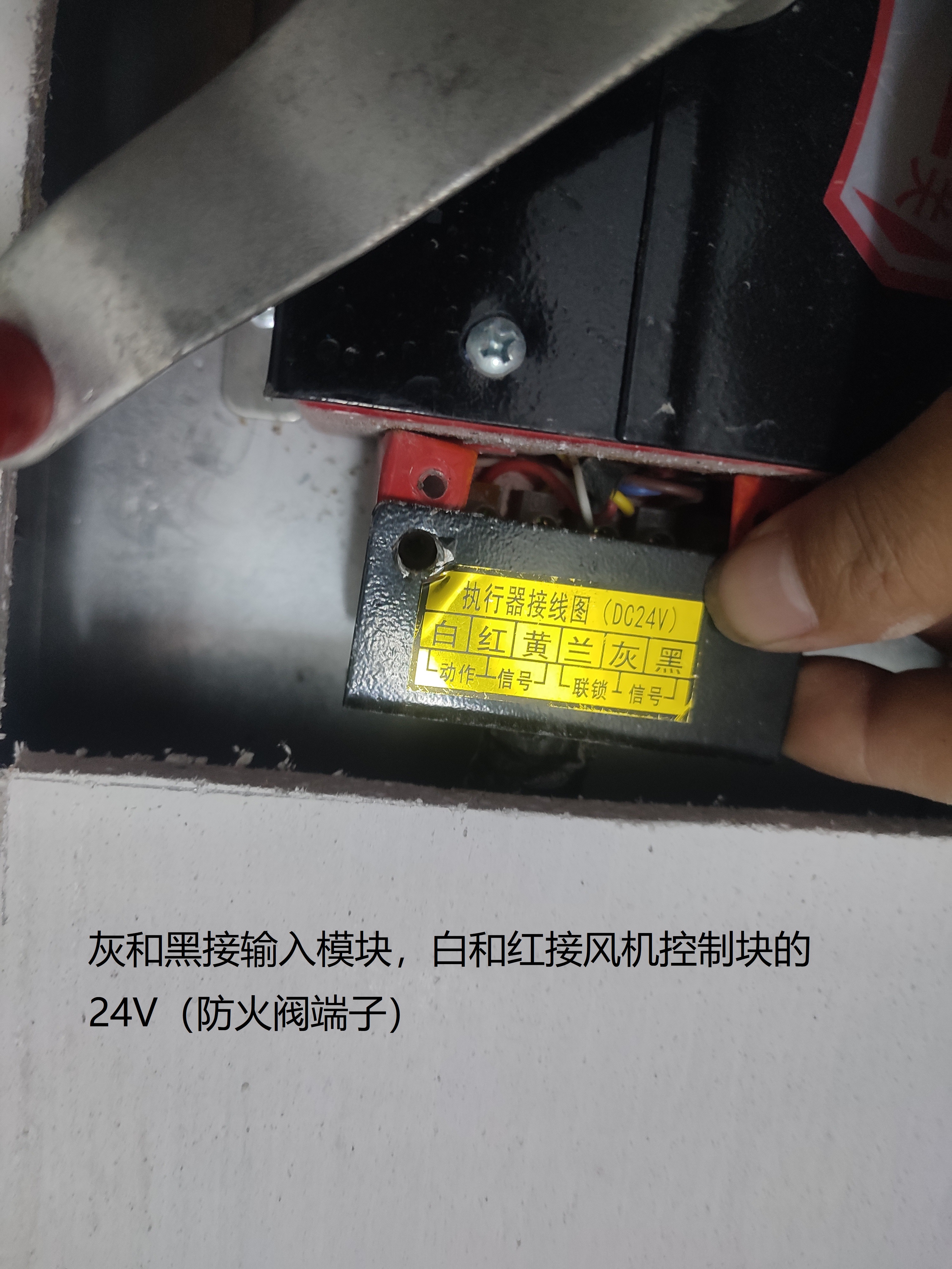 b2cbdc4bc5137624c8967ba042c7b64.jpg